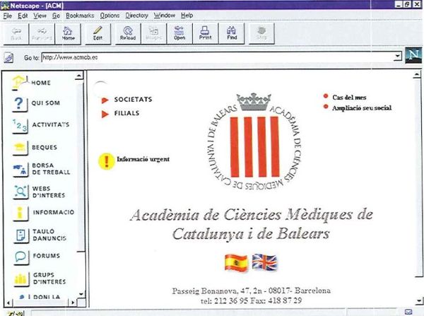 Web de l'any 1996